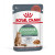 Royal Canin CAT (FCN) Digestive (舊名: Digest Sensitive) Care Adult (Gravy) 加護系列 成貓消化道加護主食濕糧(肉汁) (3104800) 85G X 12 原盒 (原裝行貨) 